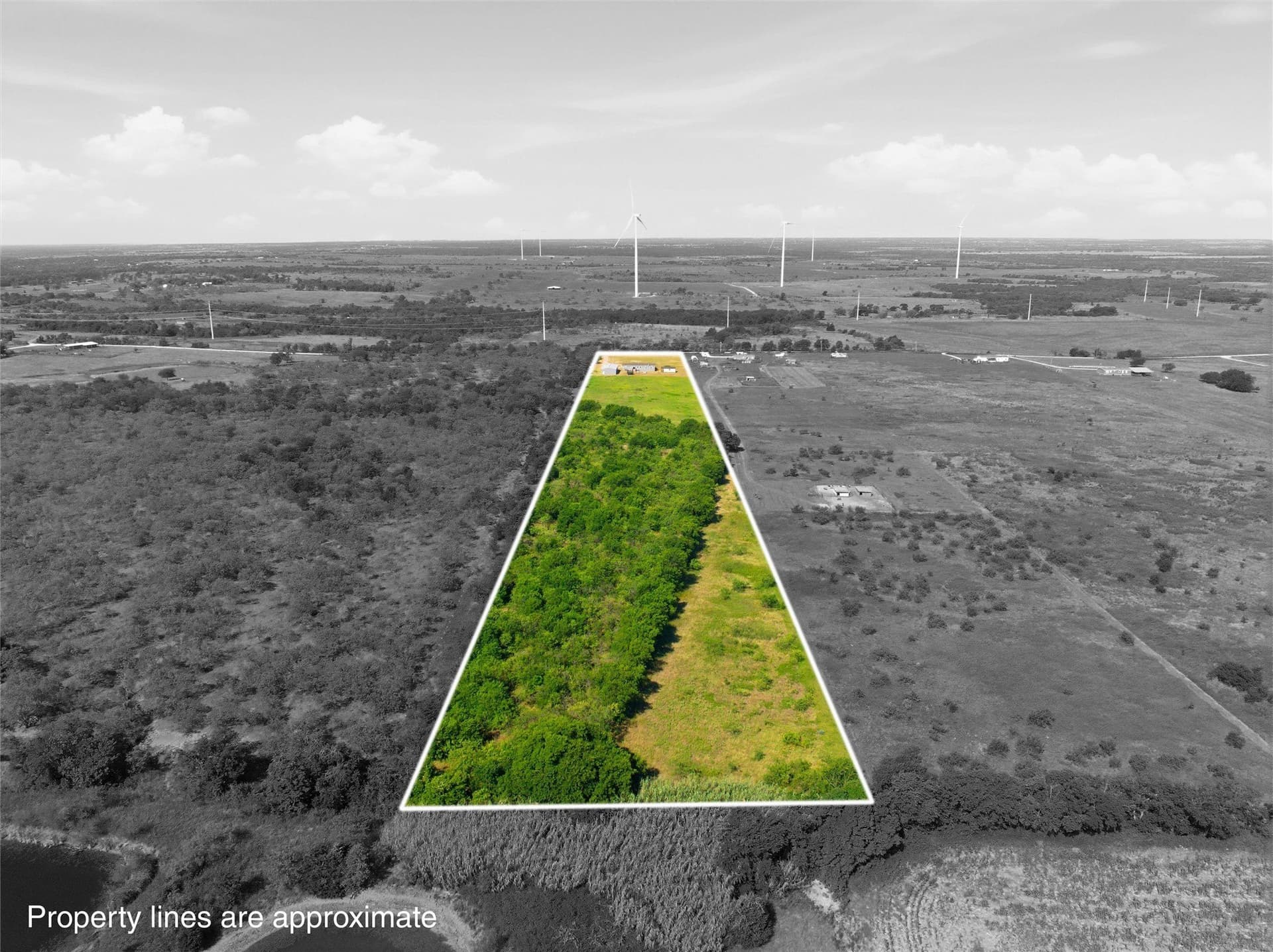 11.77 acres in Hill County - photo 5