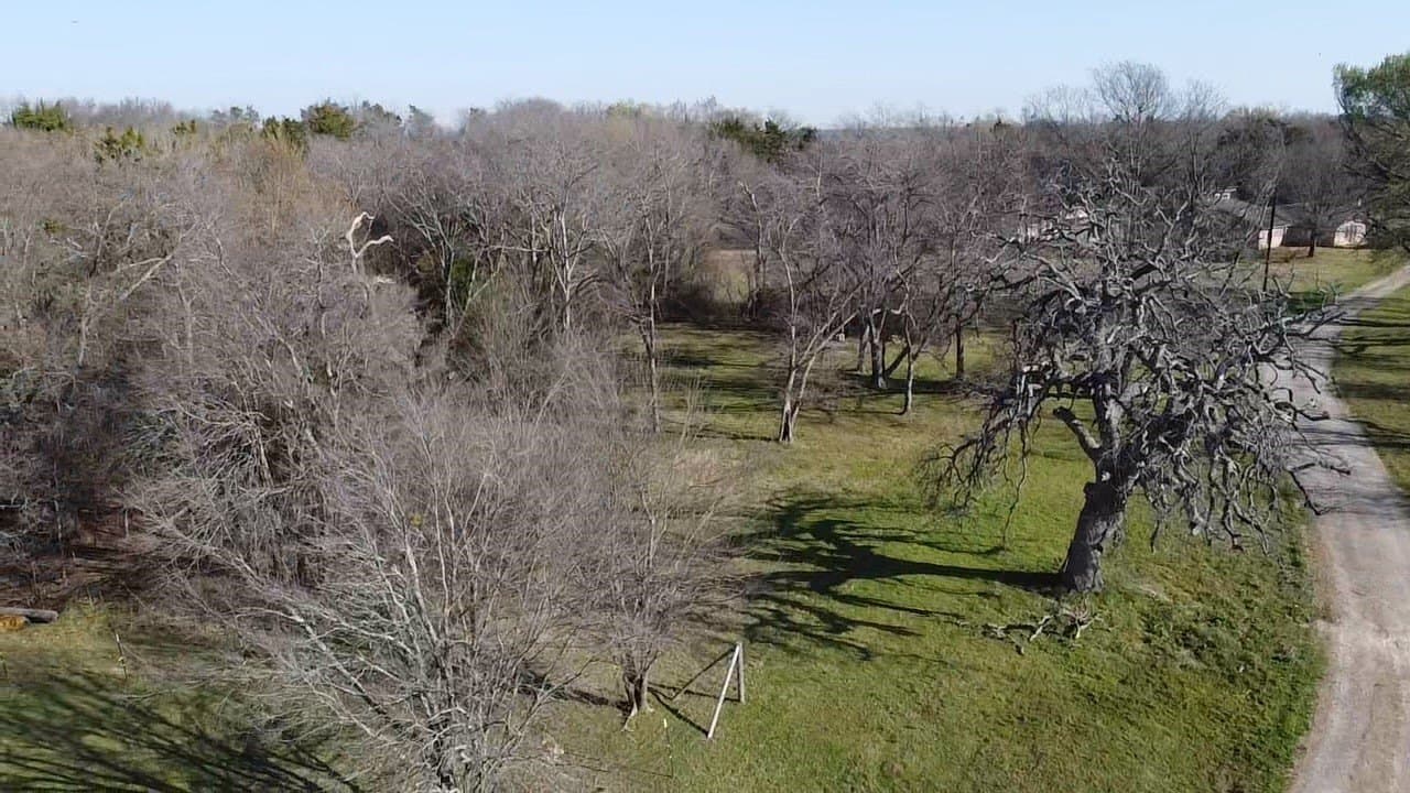 13.9 acres in Kaufman County - photo 9