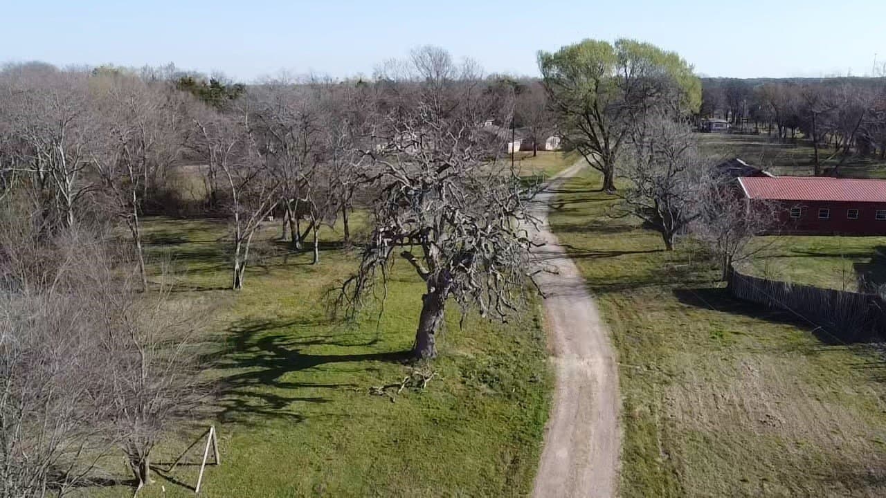 13.9 acres in Kaufman County - photo 8