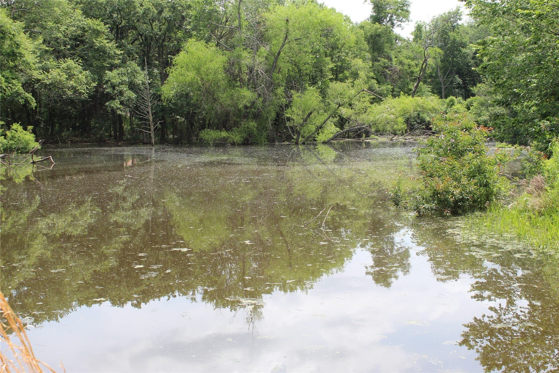 13.9 acres in Kaufman County - photo 21