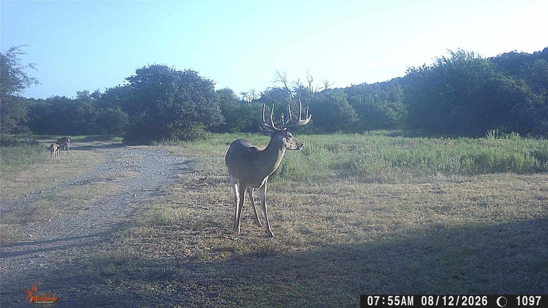 508 acres in Brown County - photo 37