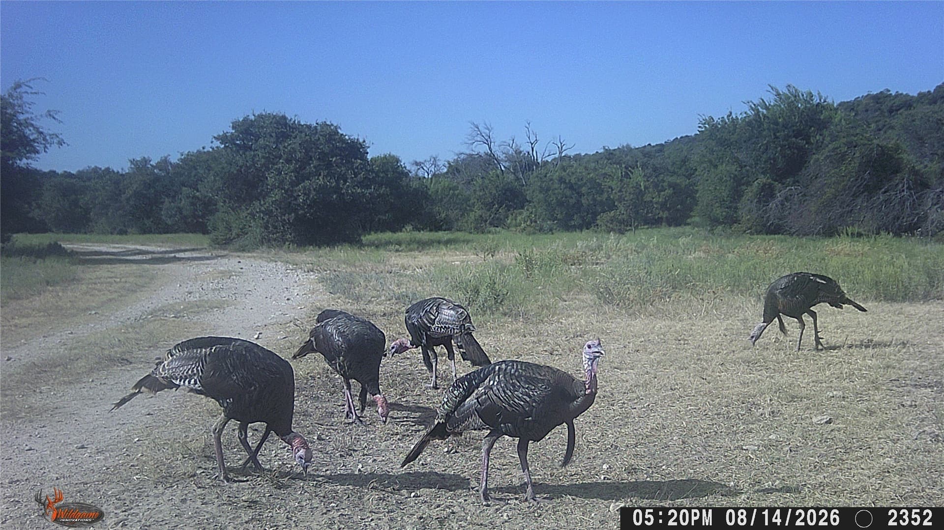 508 acres in Brown County - photo 39