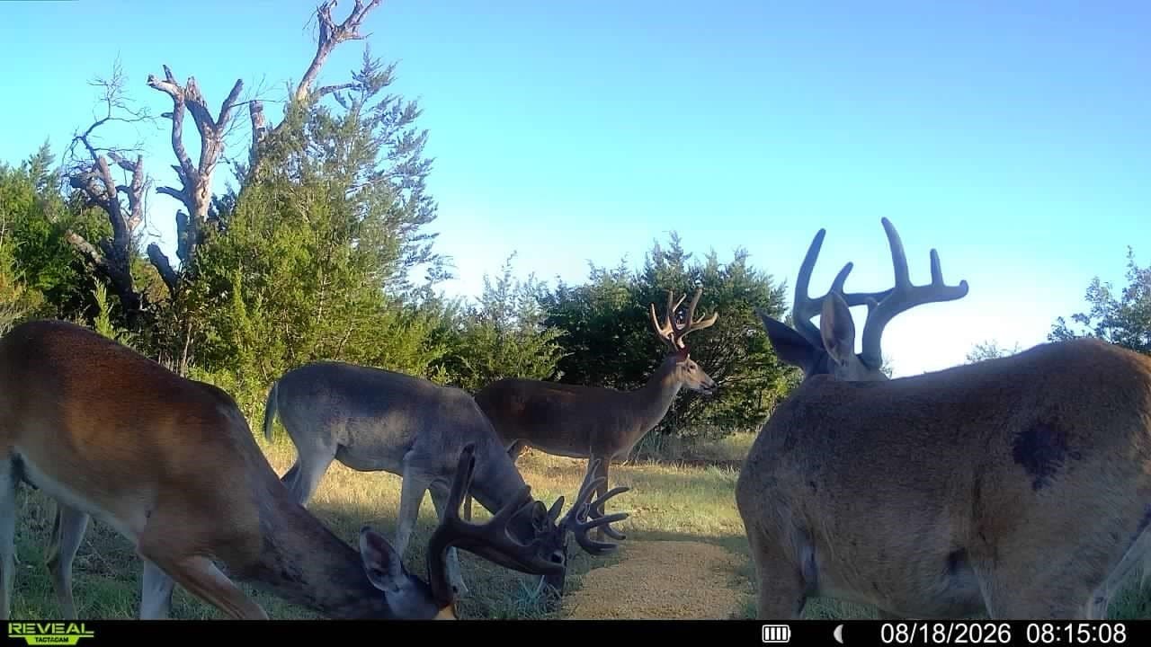 508 acres in Brown County - photo 36