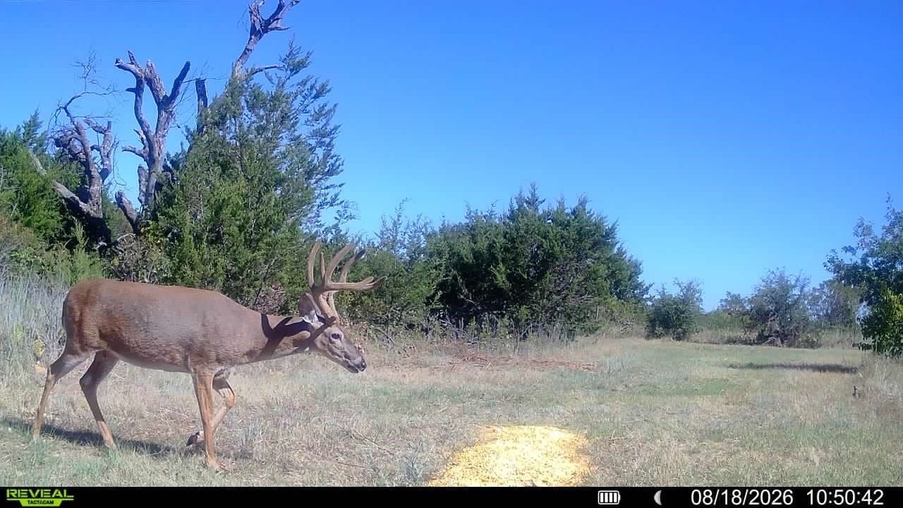 508 acres in Brown County - photo 38