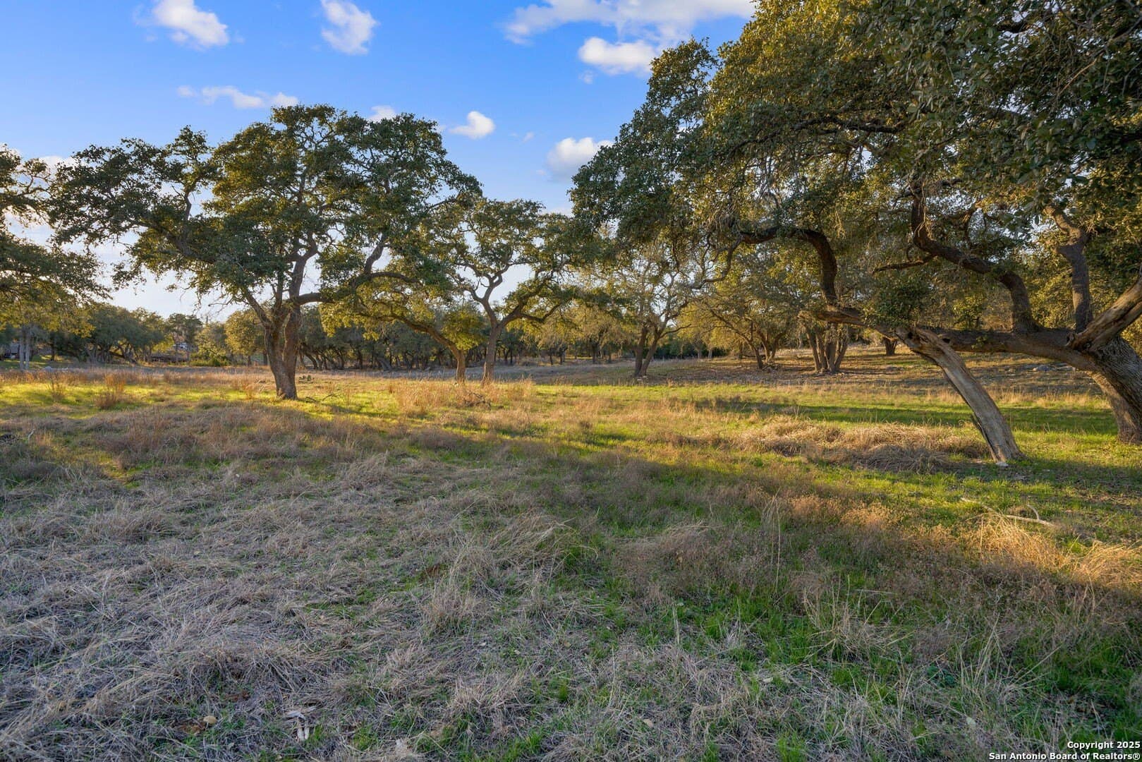 6.56 acres in Comal County - photo 13