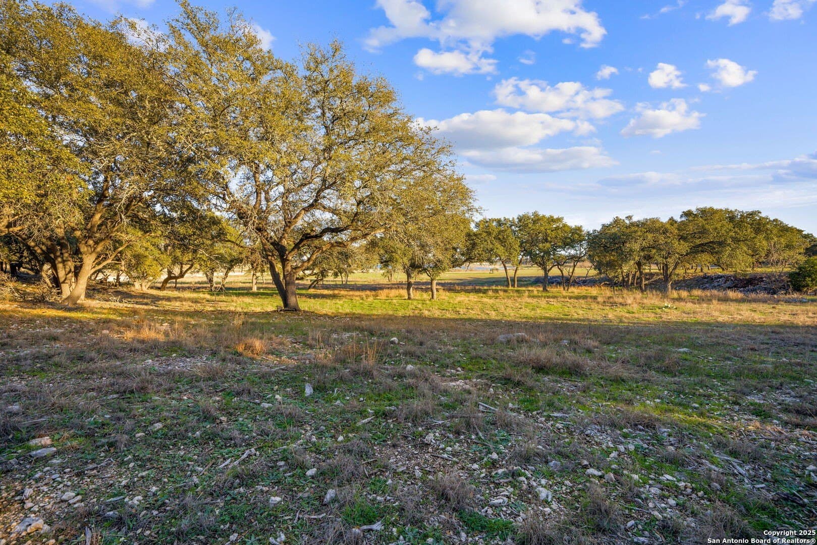 6.56 acres in Comal County - photo 25