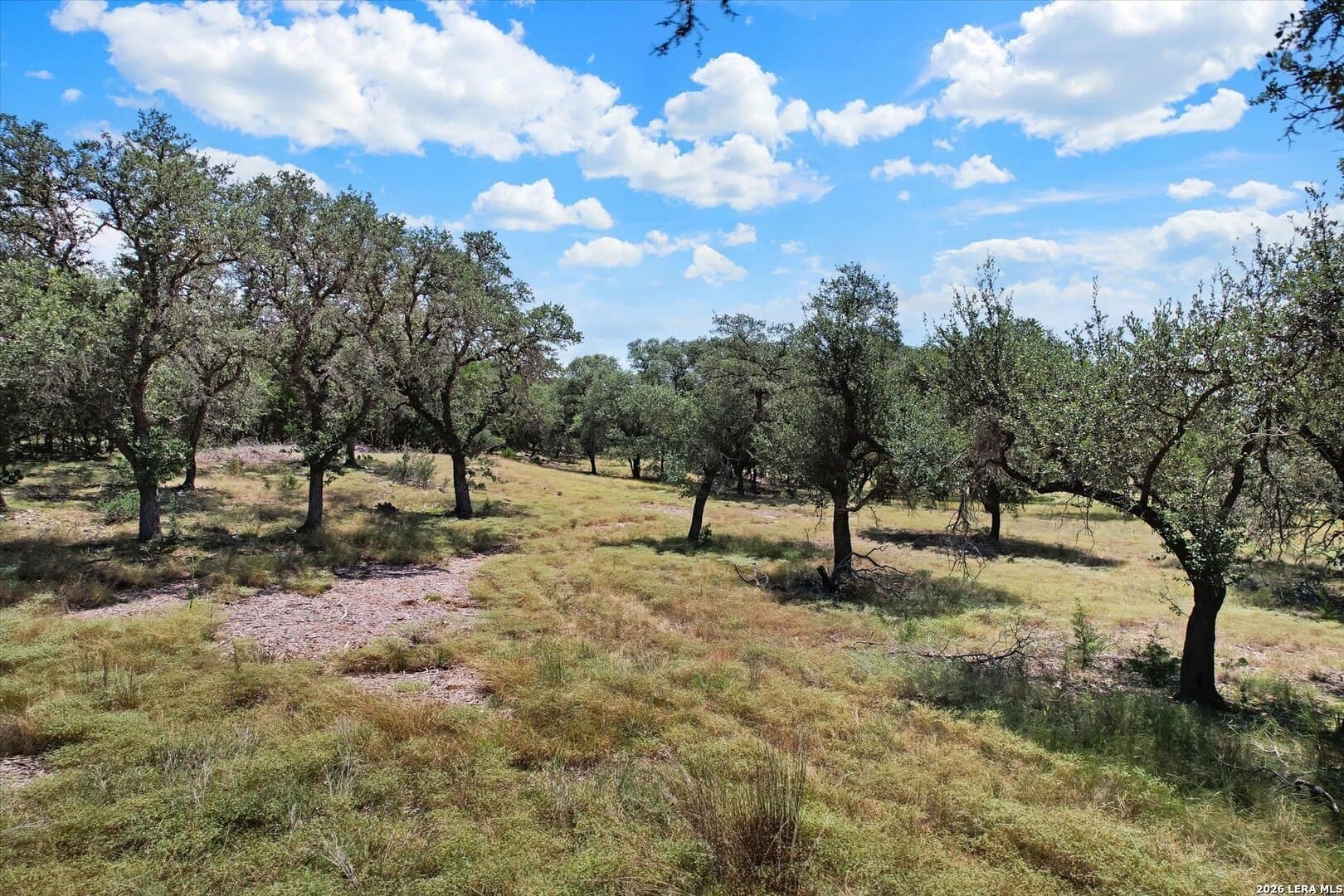 6.56 acres in Comal County - photo 30