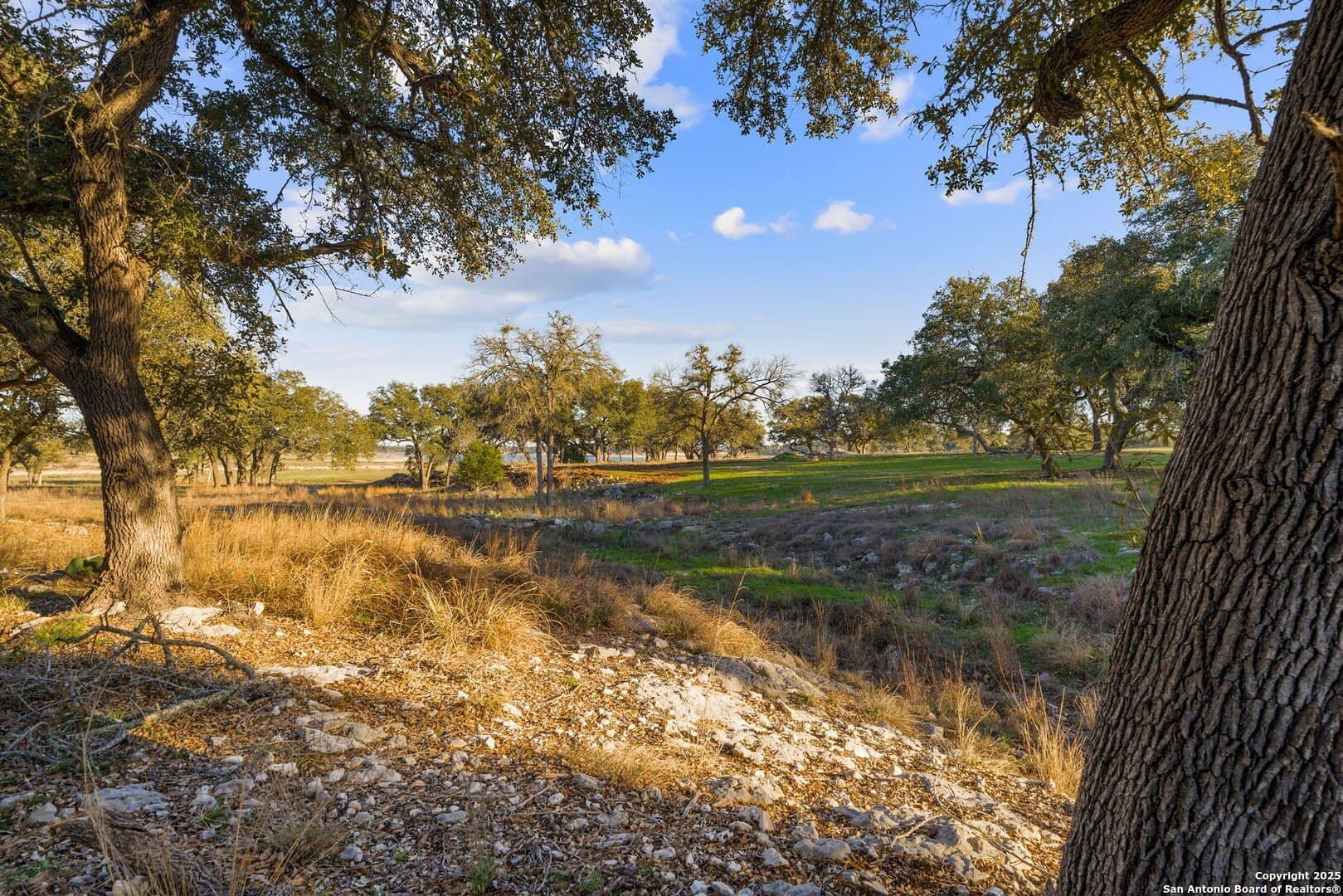 6.56 acres in Comal County - photo 19