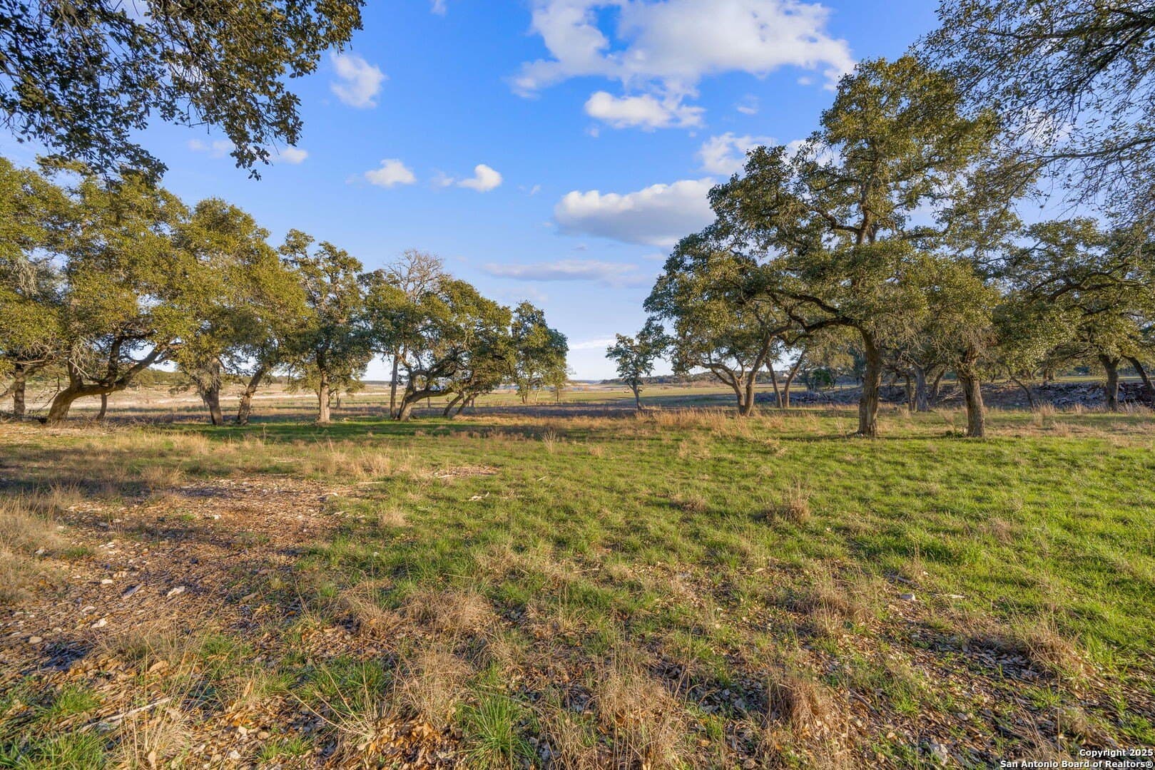 6.56 acres in Comal County - photo 26