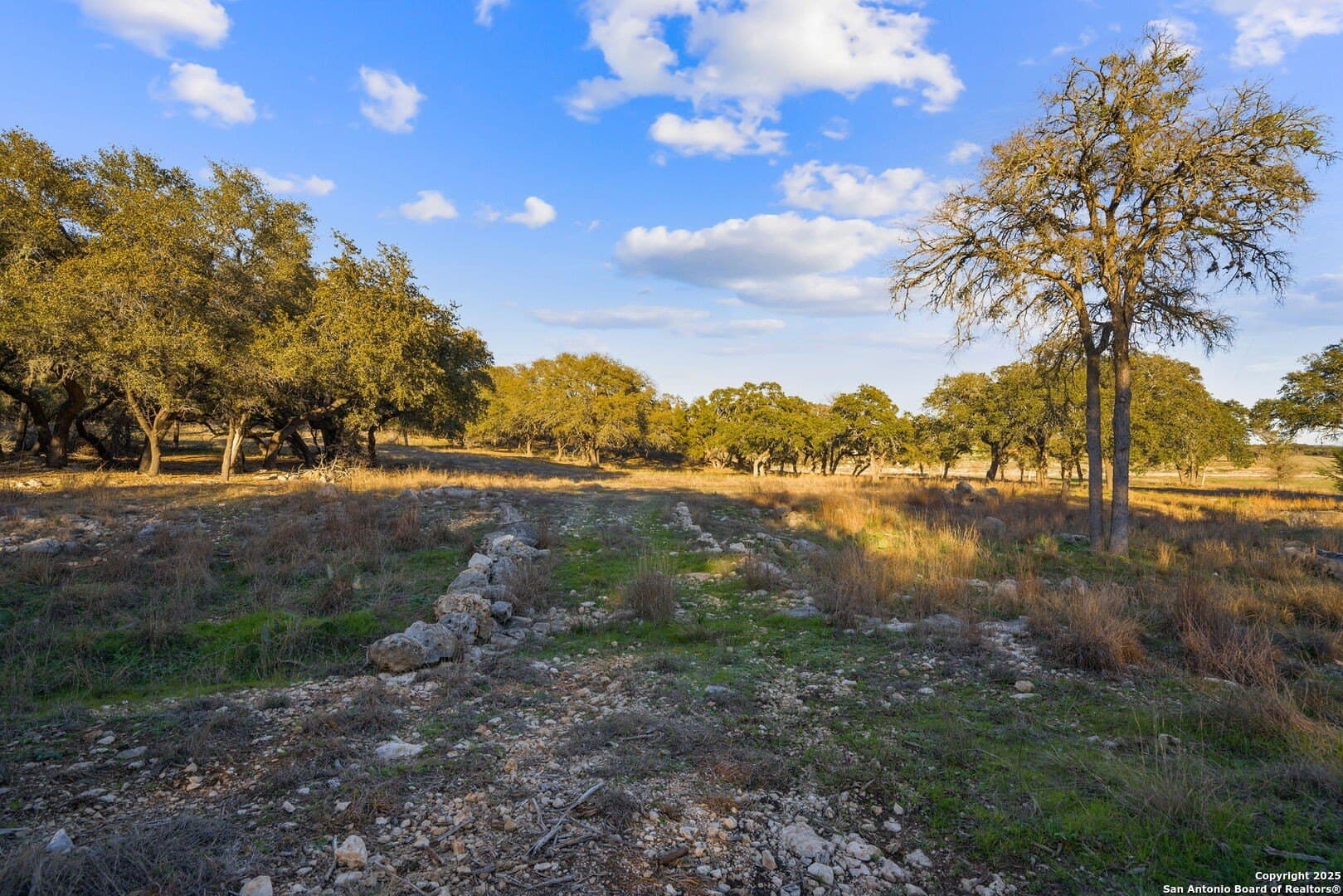6.56 acres in Comal County - photo 20