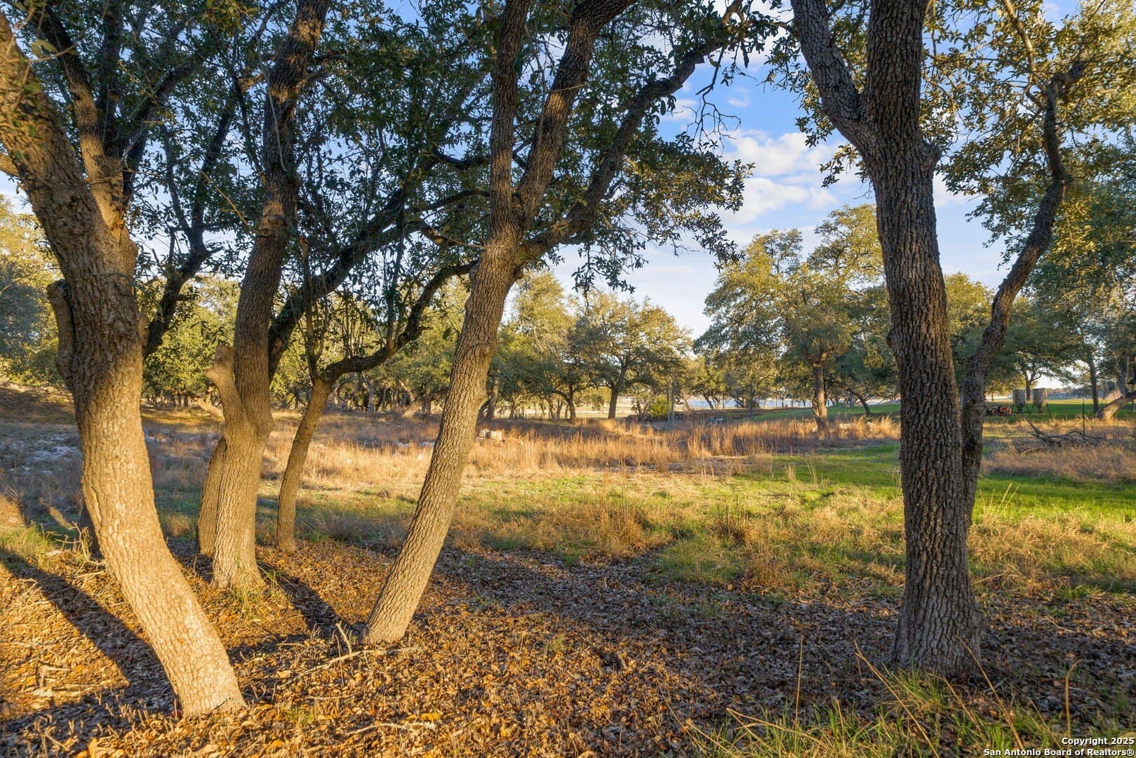 6.56 acres in Comal County - photo 16
