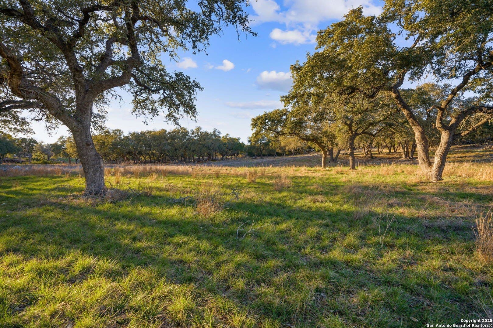 6.56 acres in Comal County - photo 27