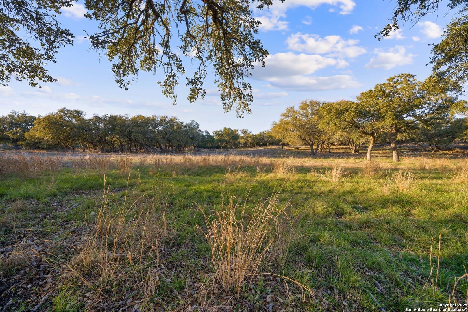 6.56 acres in Comal County - photo 14