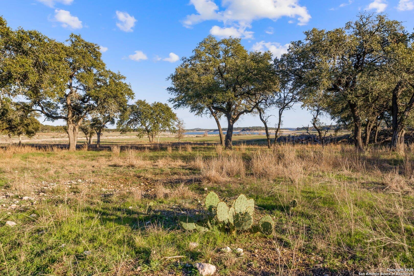6.56 acres in Comal County - photo 23