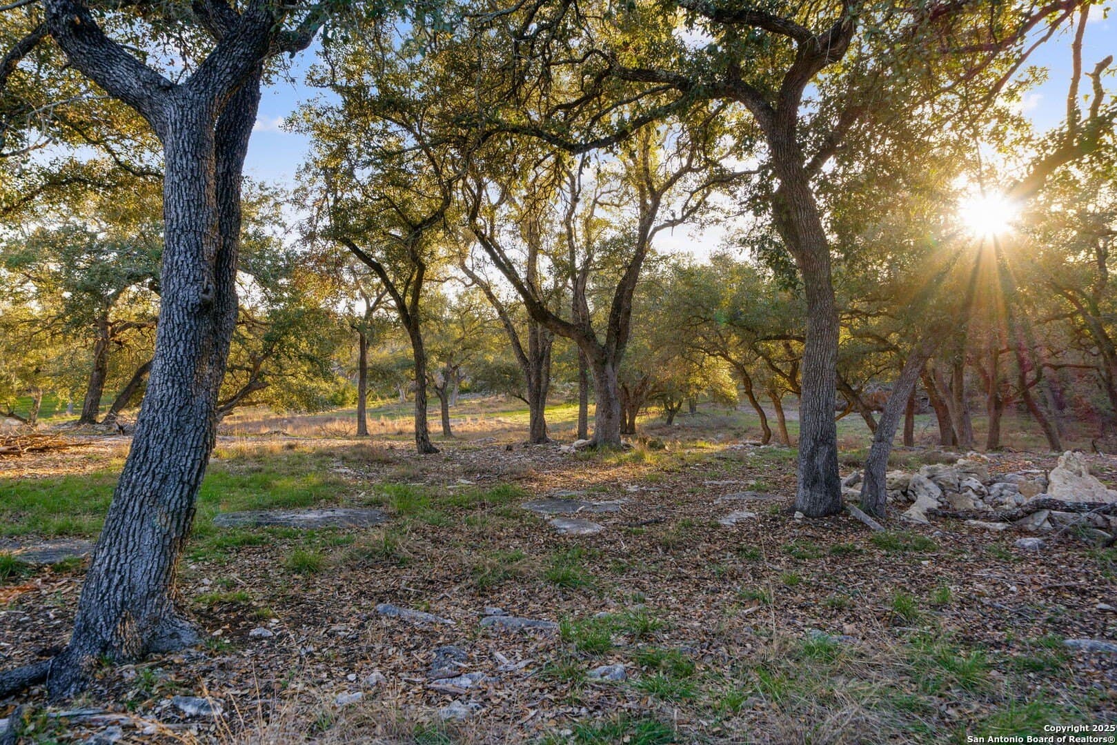 6.56 acres in Comal County - photo 15