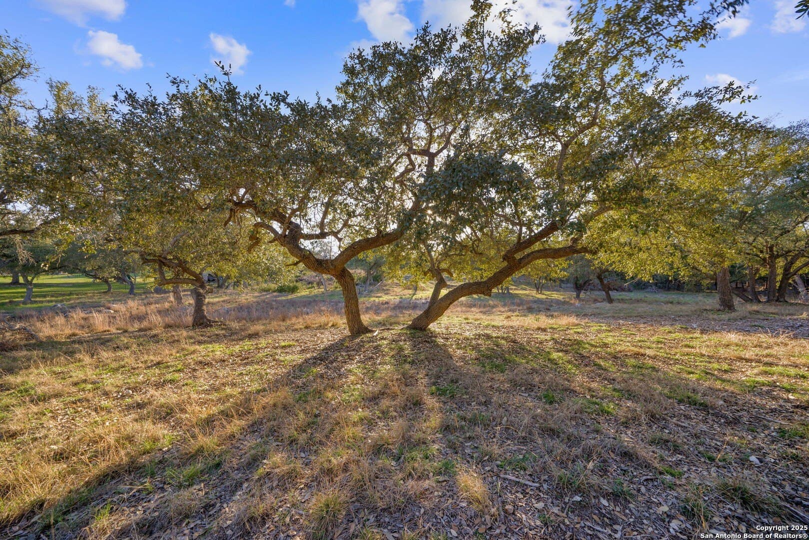 6.56 acres in Comal County - photo 18