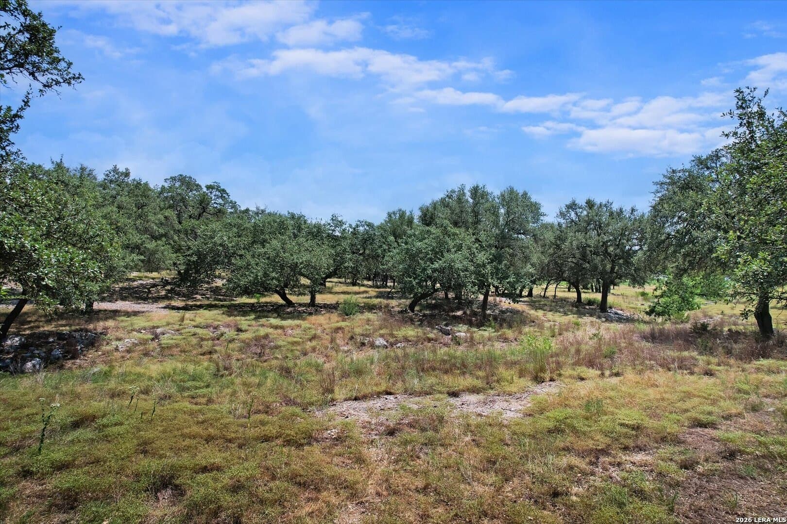 6.56 acres in Comal County - photo 29