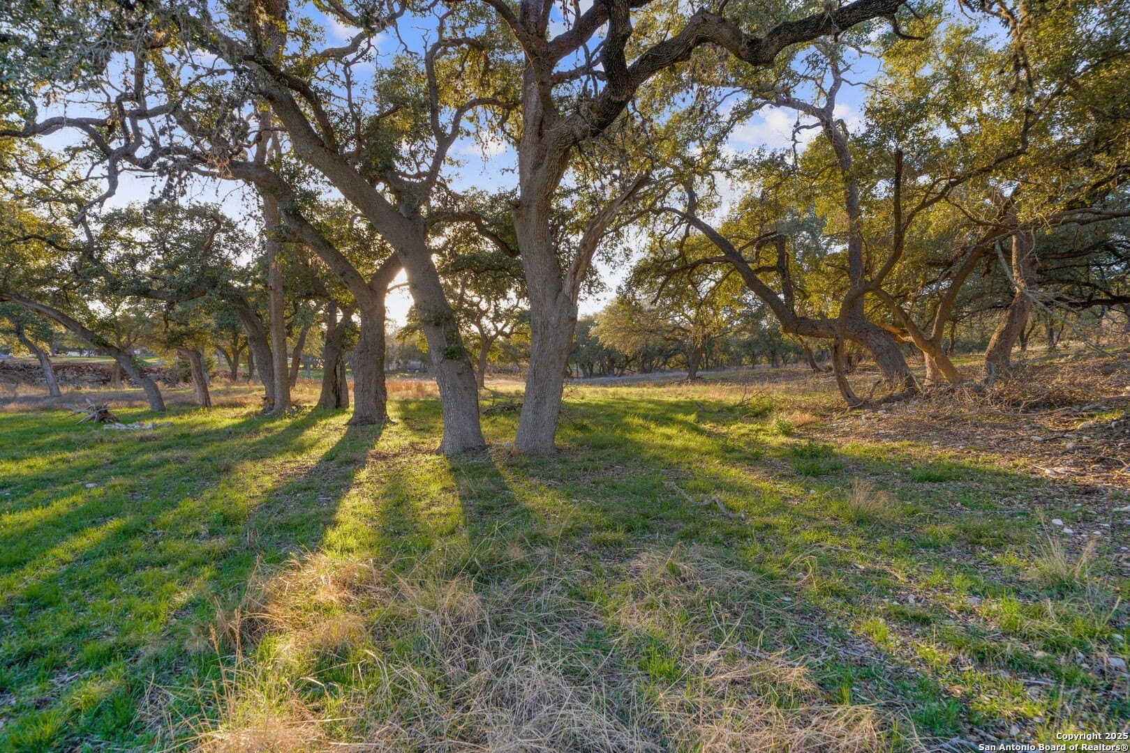 6.56 acres in Comal County - photo 11