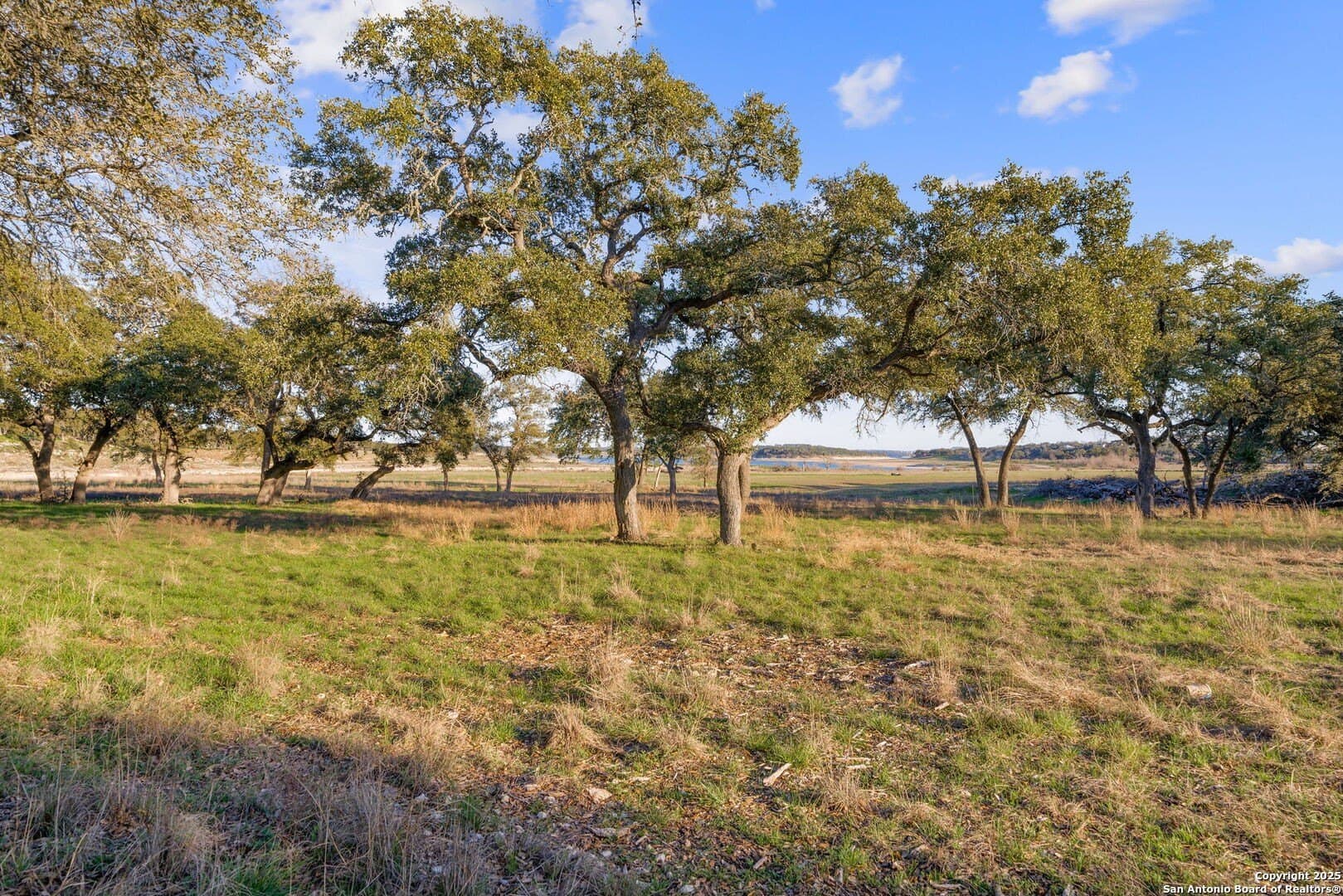 6.56 acres in Comal County - photo 24