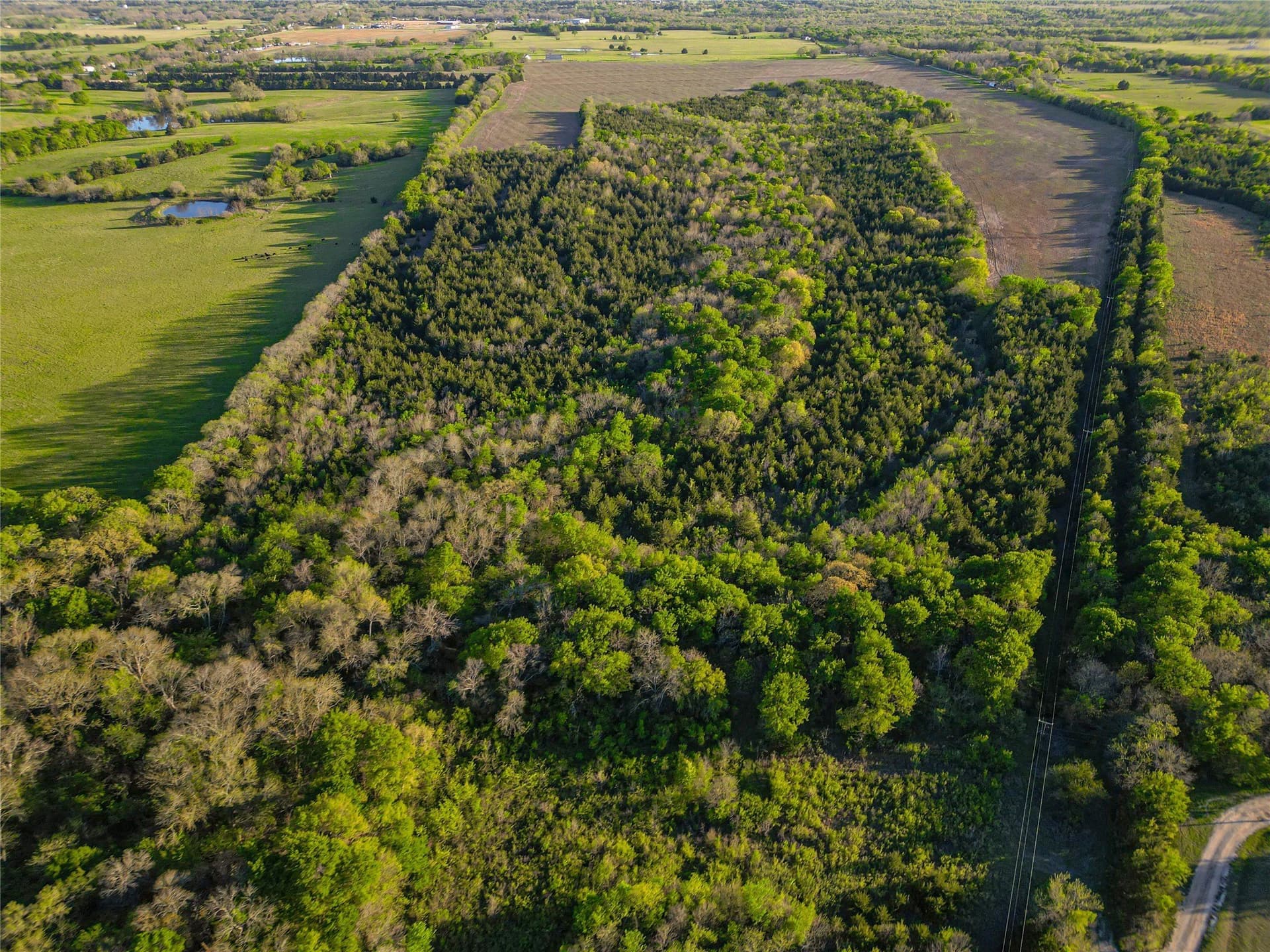 148.73 acres in Fannin County gallery image 4