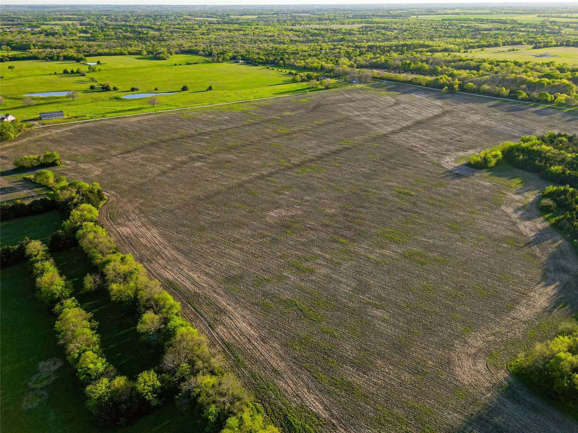 148.73 acres in Fannin County - photo 15