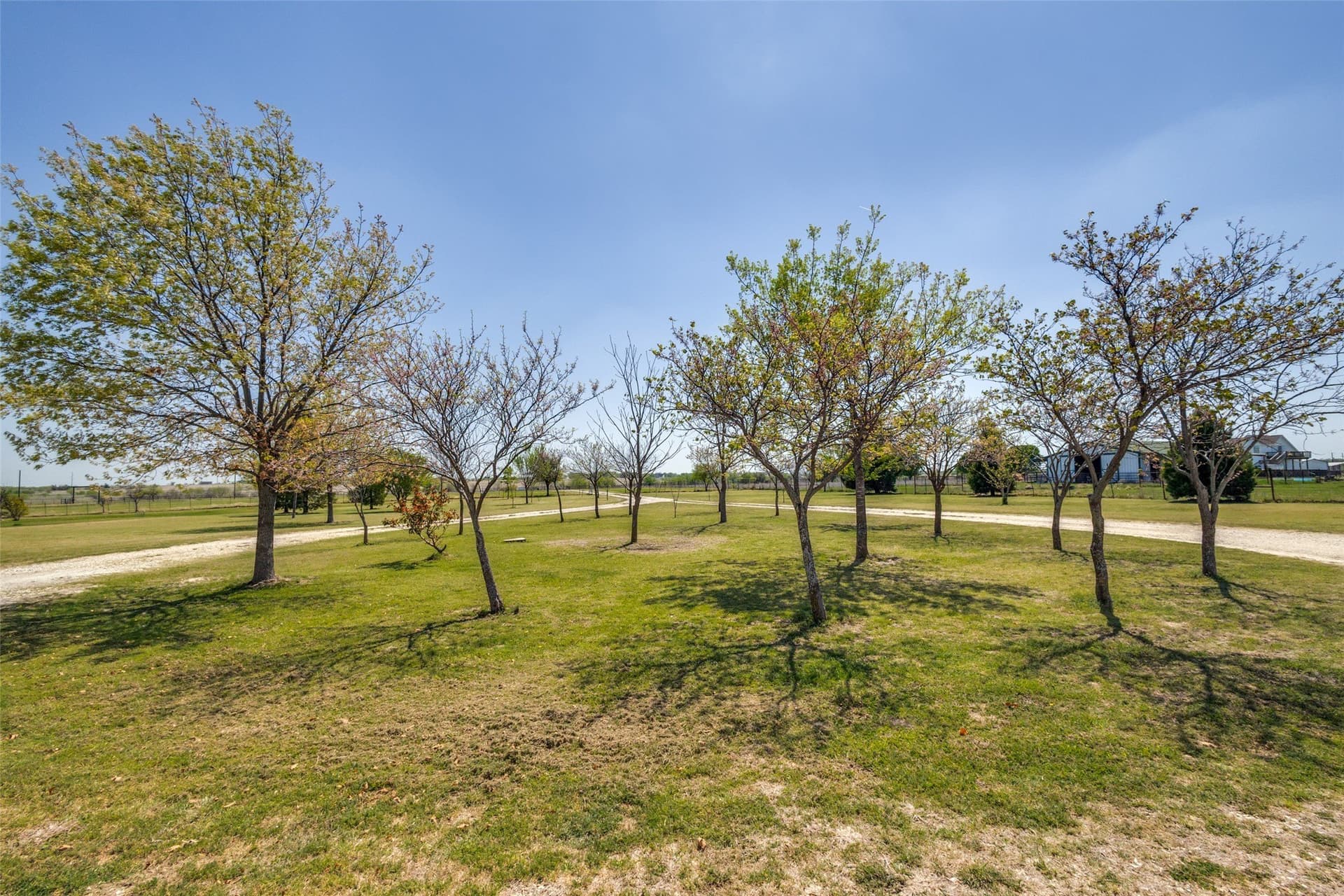 10.01 acres in Denton County gallery image 3