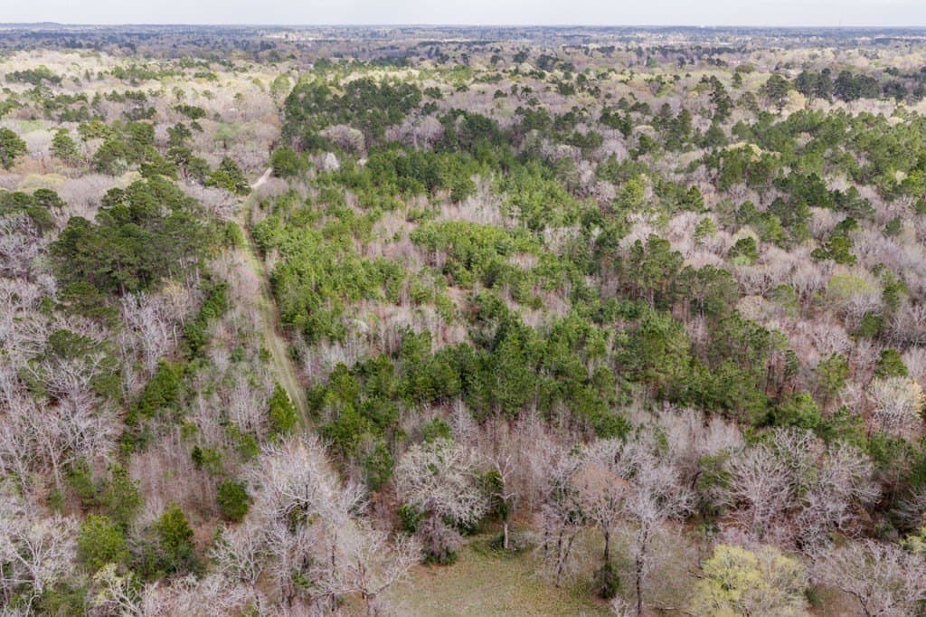 10 acres in Texas County - photo 7