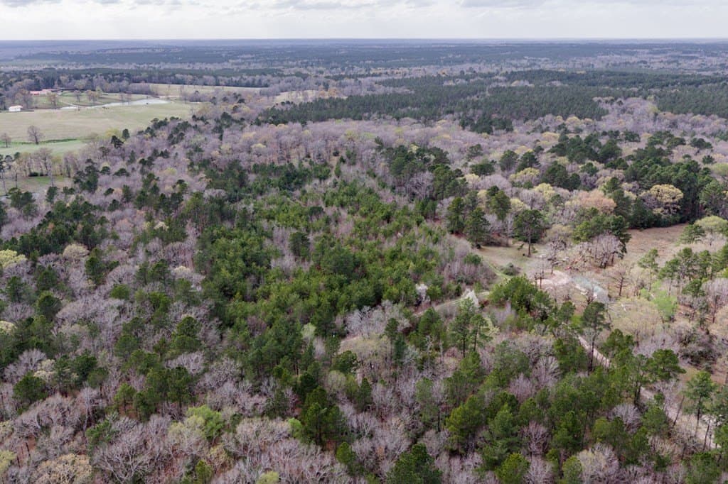 10 acres in Texas County gallery image 4