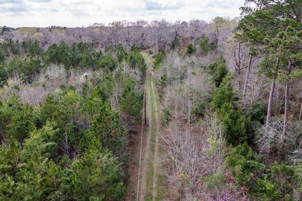 10 acres in Texas County - photo 10