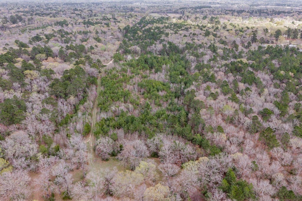 10 acres in Texas County gallery image 2