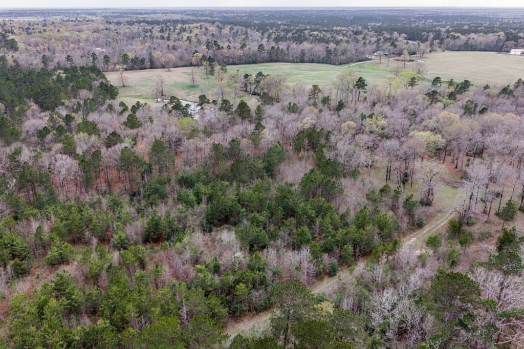 10 acres in Texas County - photo 8