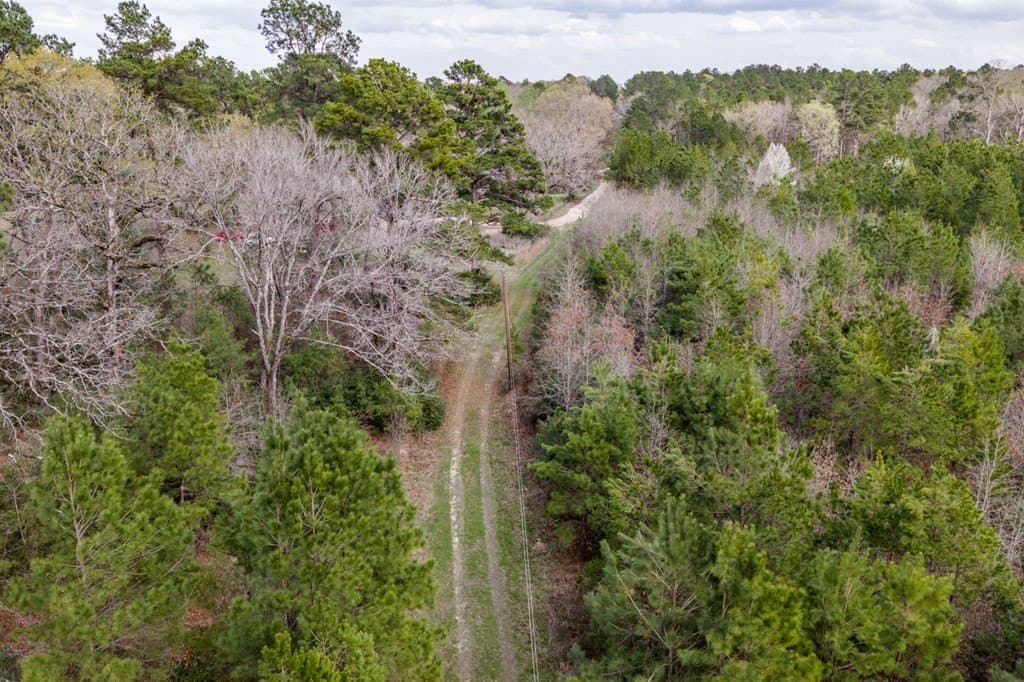 10 acres in Texas County - photo 11