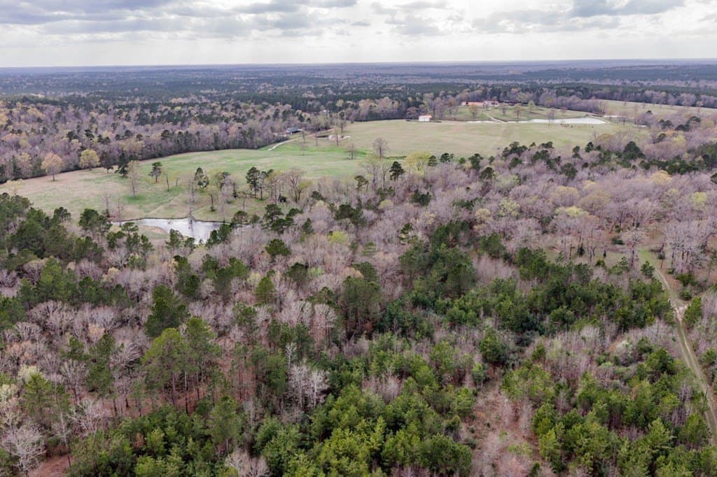 10 acres in Texas County gallery image 3