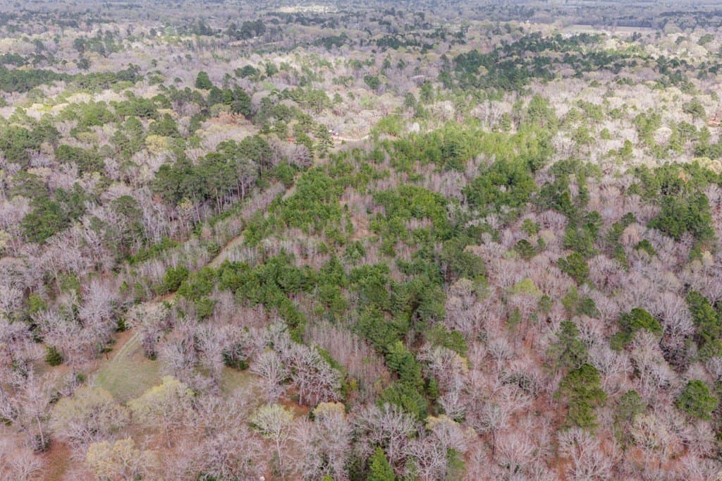 10 acres in Texas County featured view