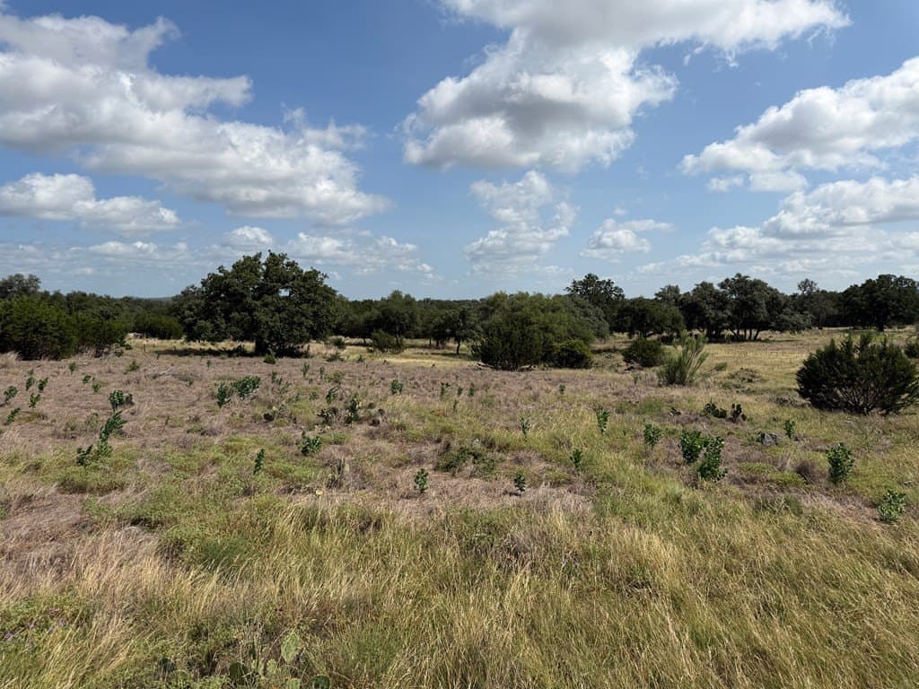 3.84 acres in Gillespie County gallery image 3