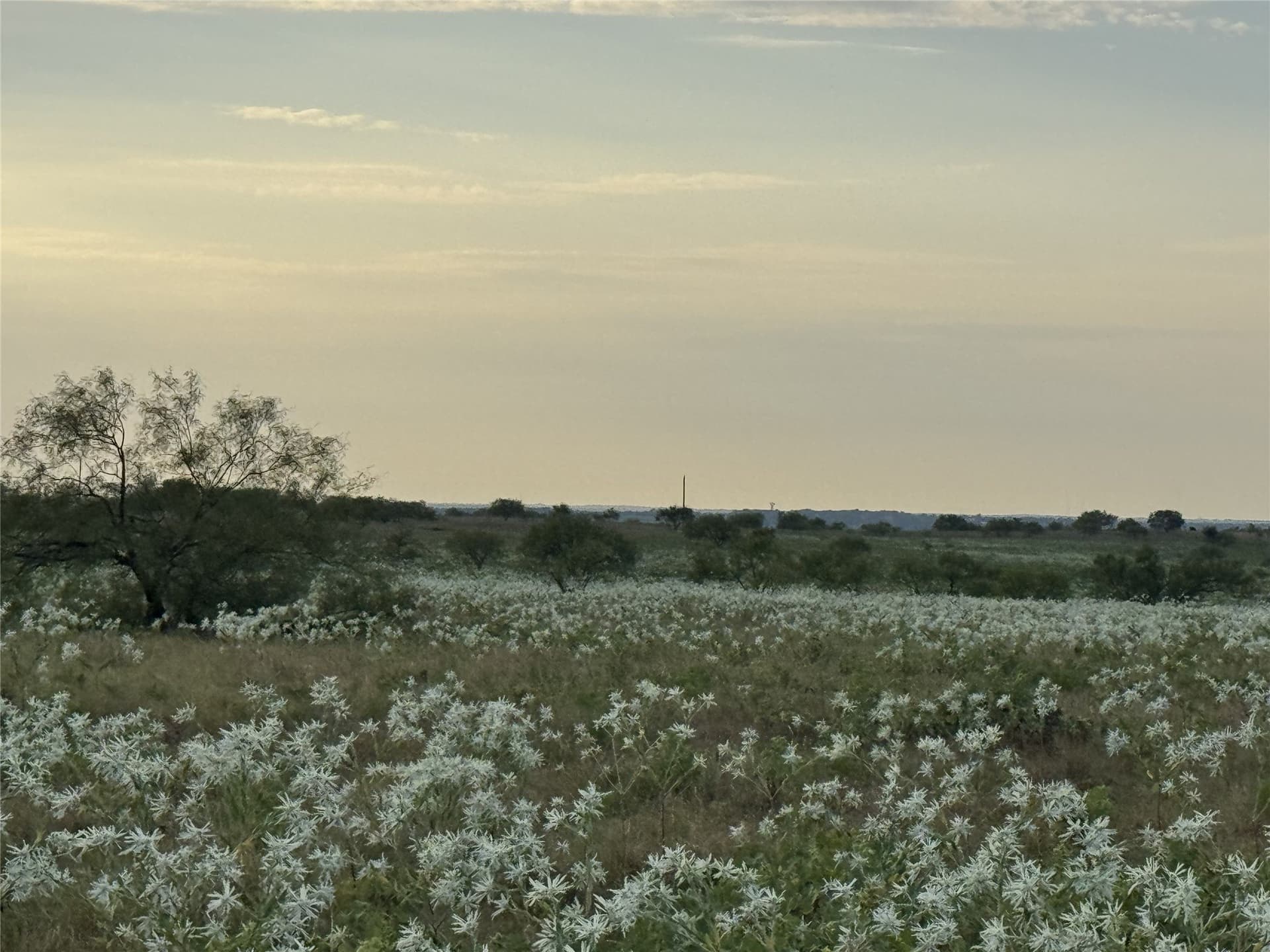 11.2 acres in Wise County - photo 2