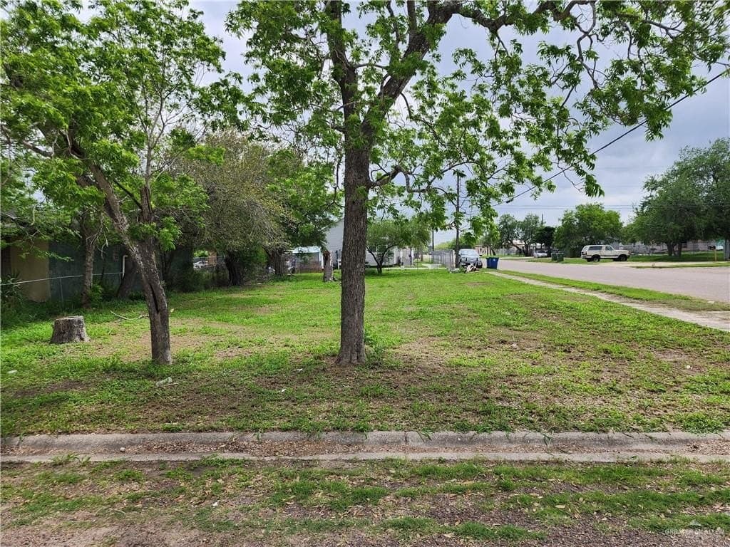 0.06 acres in Hidalgo County gallery image 3