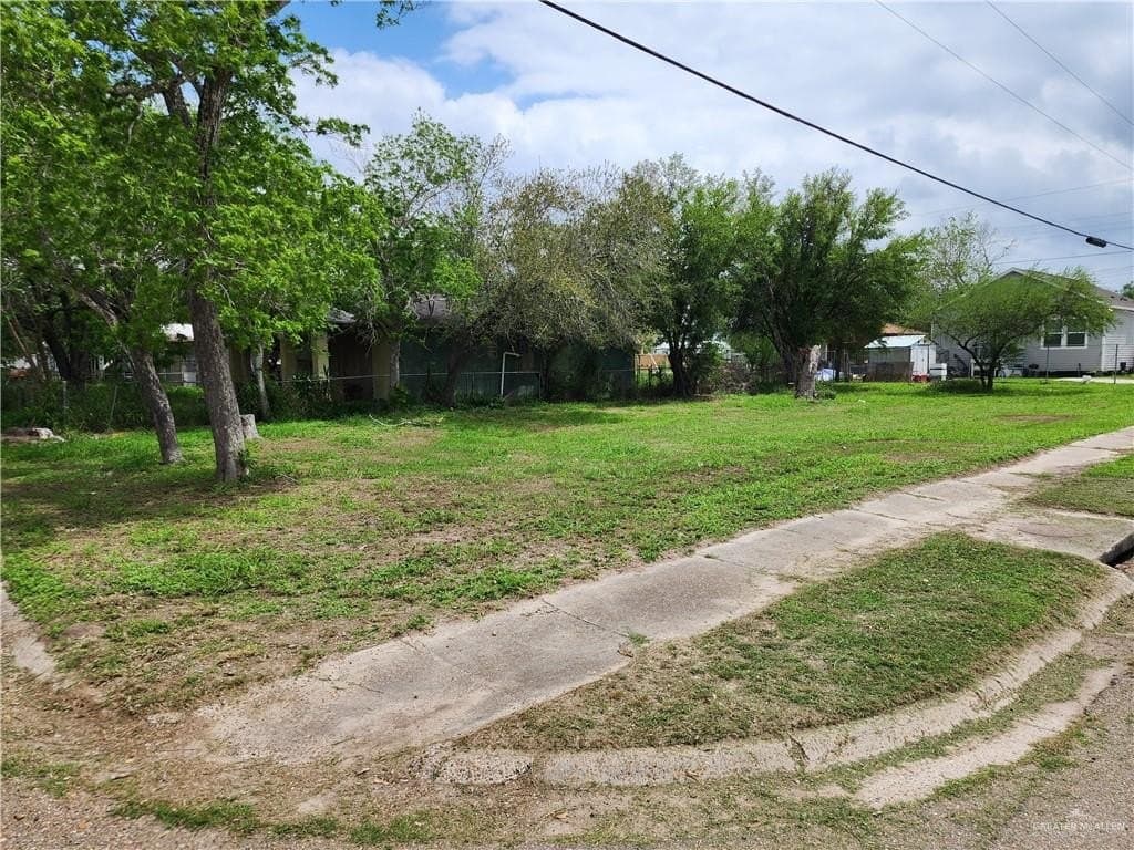 0.06 acres in Hidalgo County gallery image 2