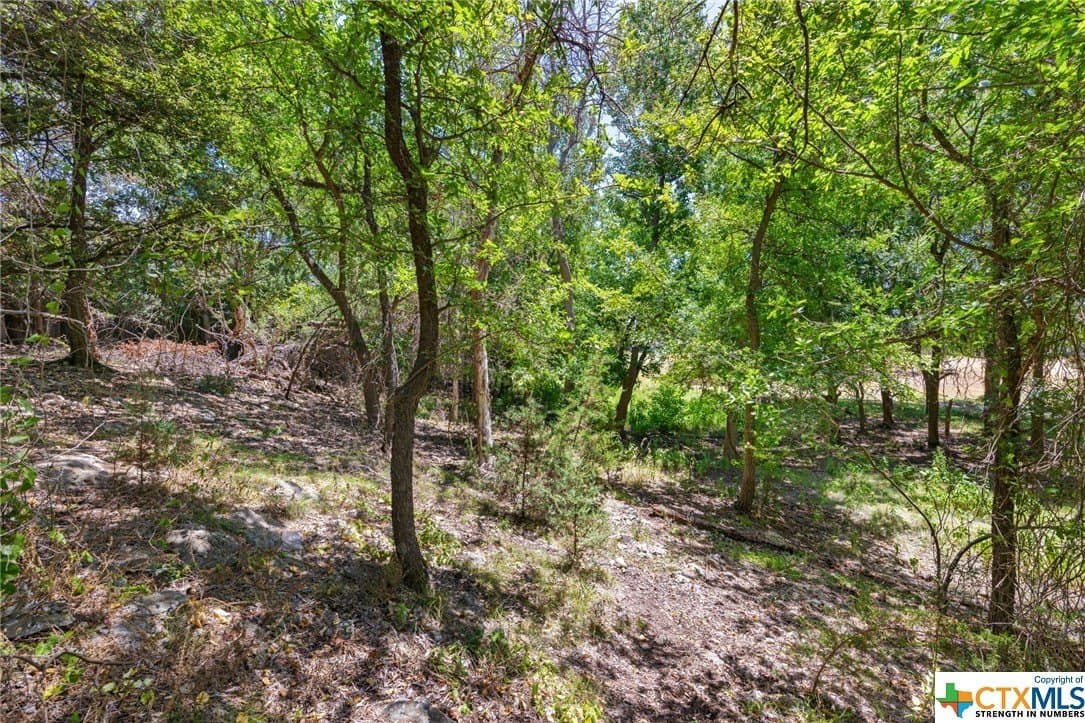 0.32 acres in Travis County - photo 8