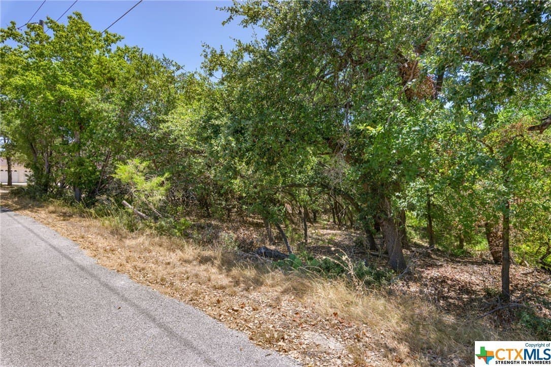 0.32 acres in Travis County gallery image 3