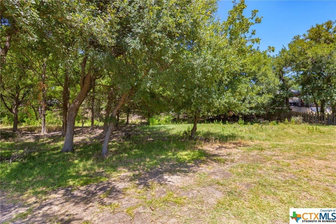0.32 acres in Travis County - photo 11