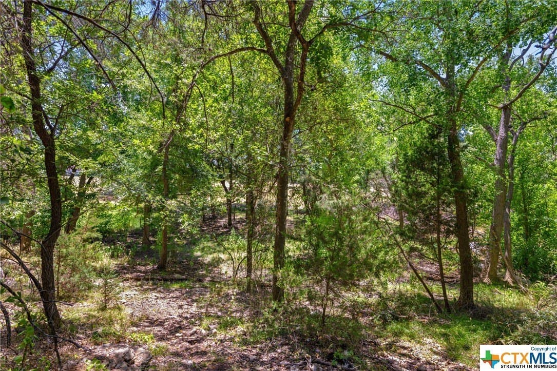0.32 acres in Travis County - photo 6
