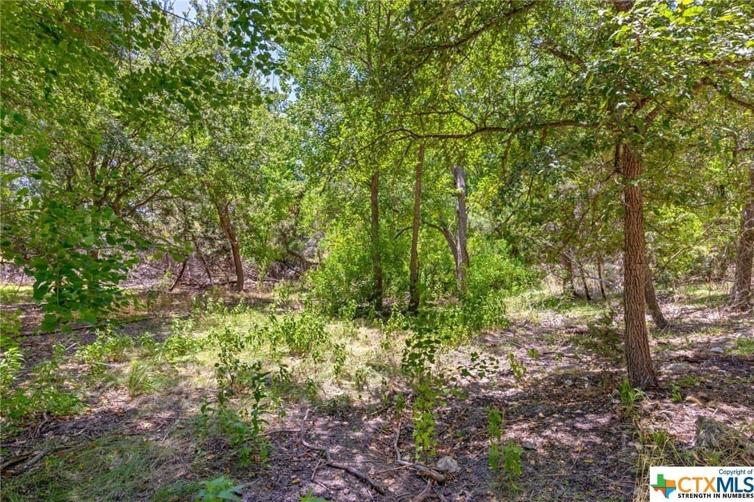 0.32 acres in Travis County - photo 10