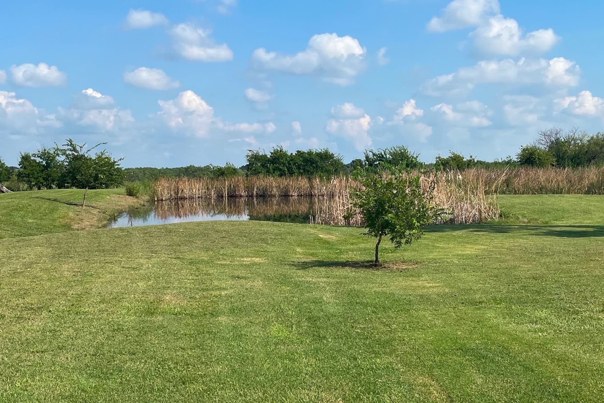 3.97 acres in Grayson County gallery image 4