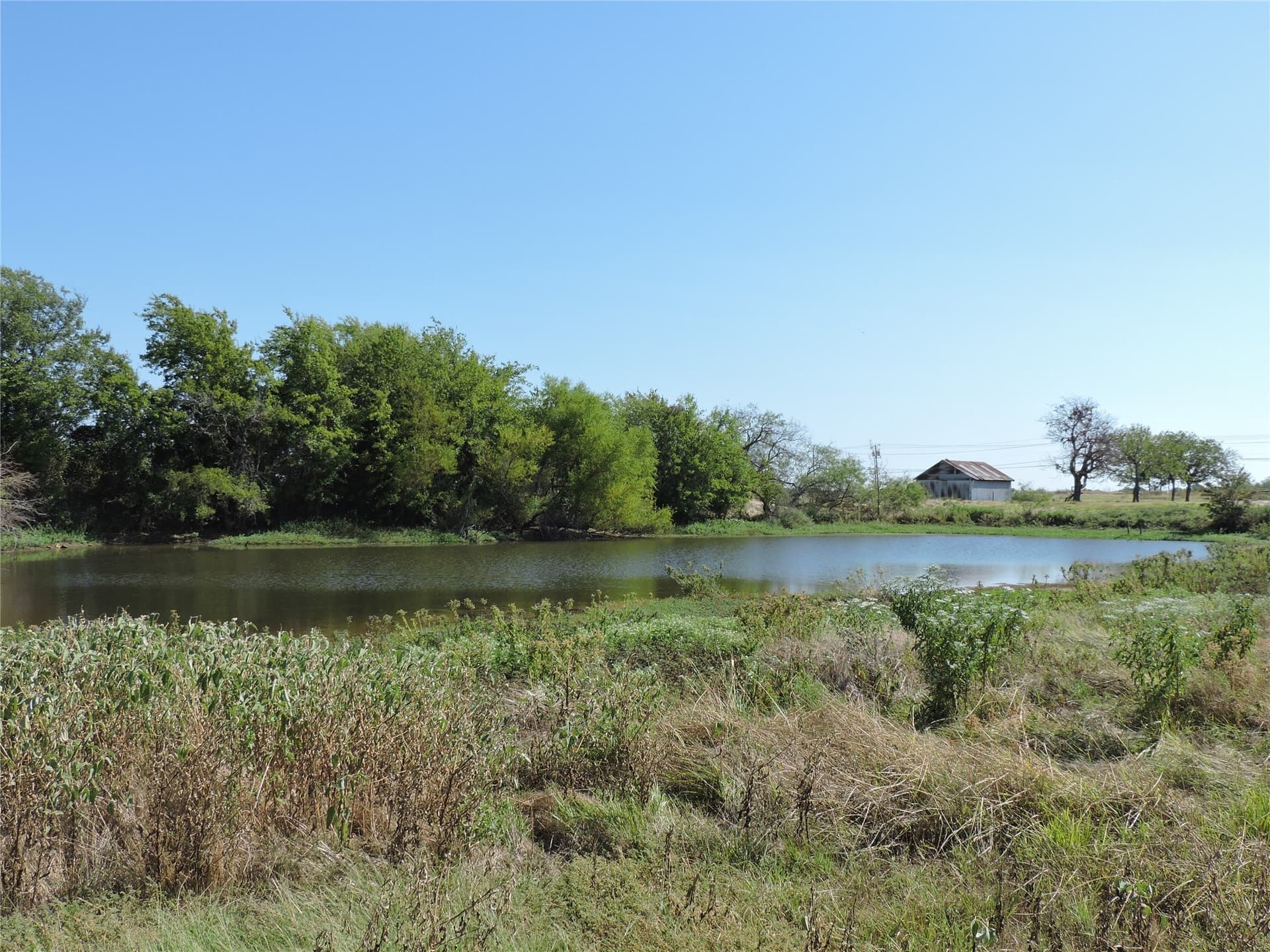 7.95 acres in Henderson County gallery image 4