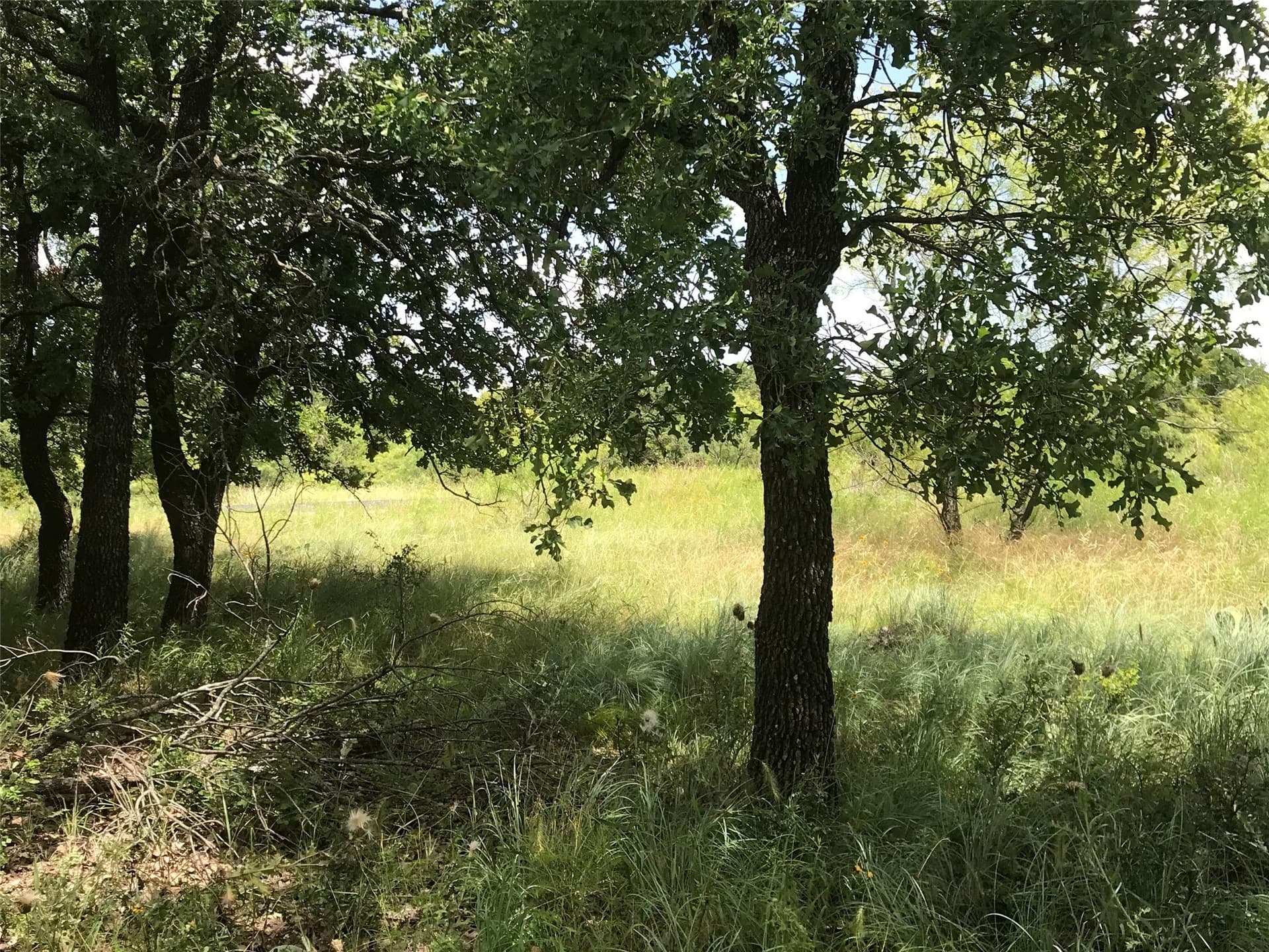 1.01 acres in Wise County - photo 8