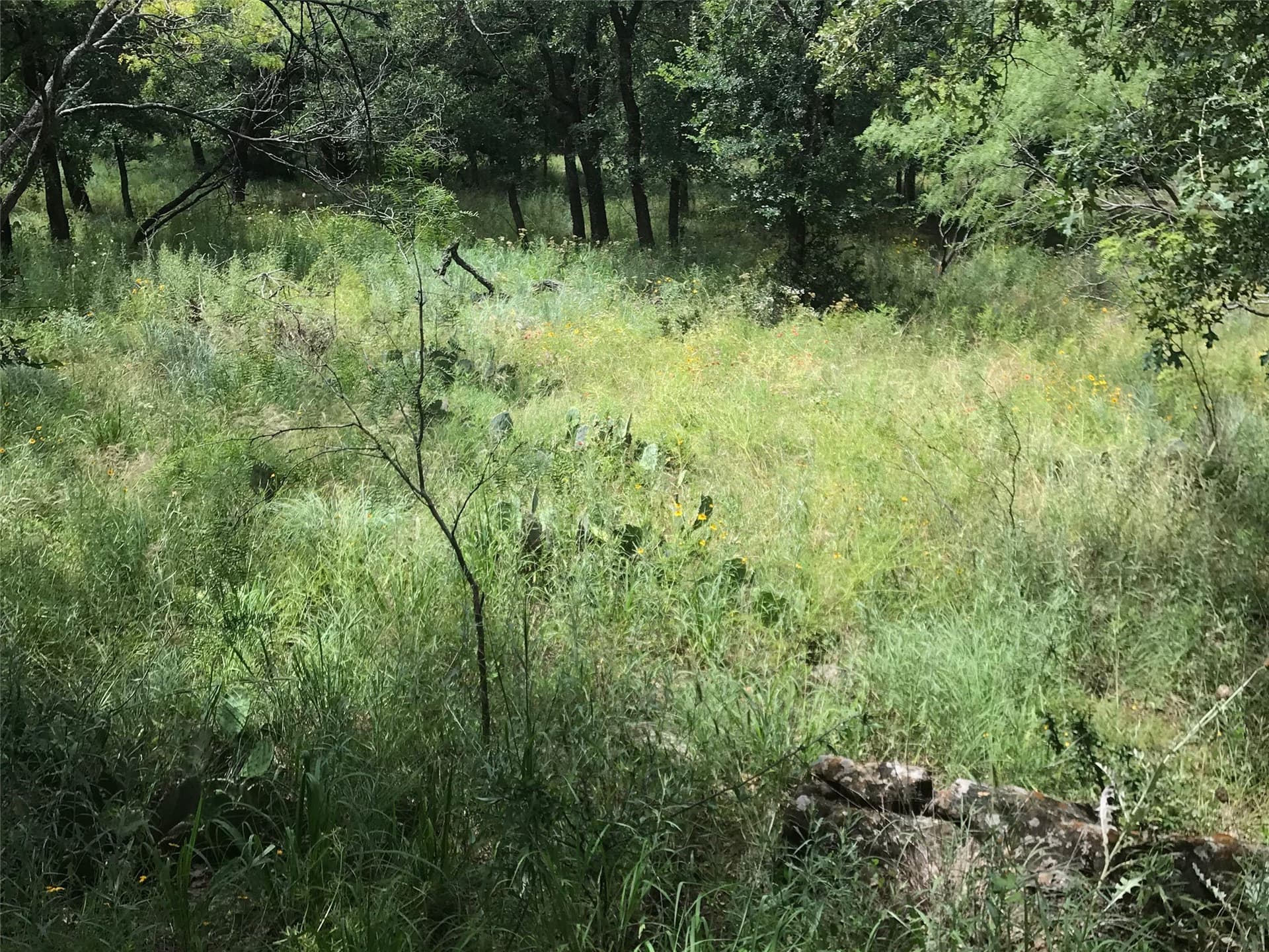1.01 acres in Wise County - photo 6