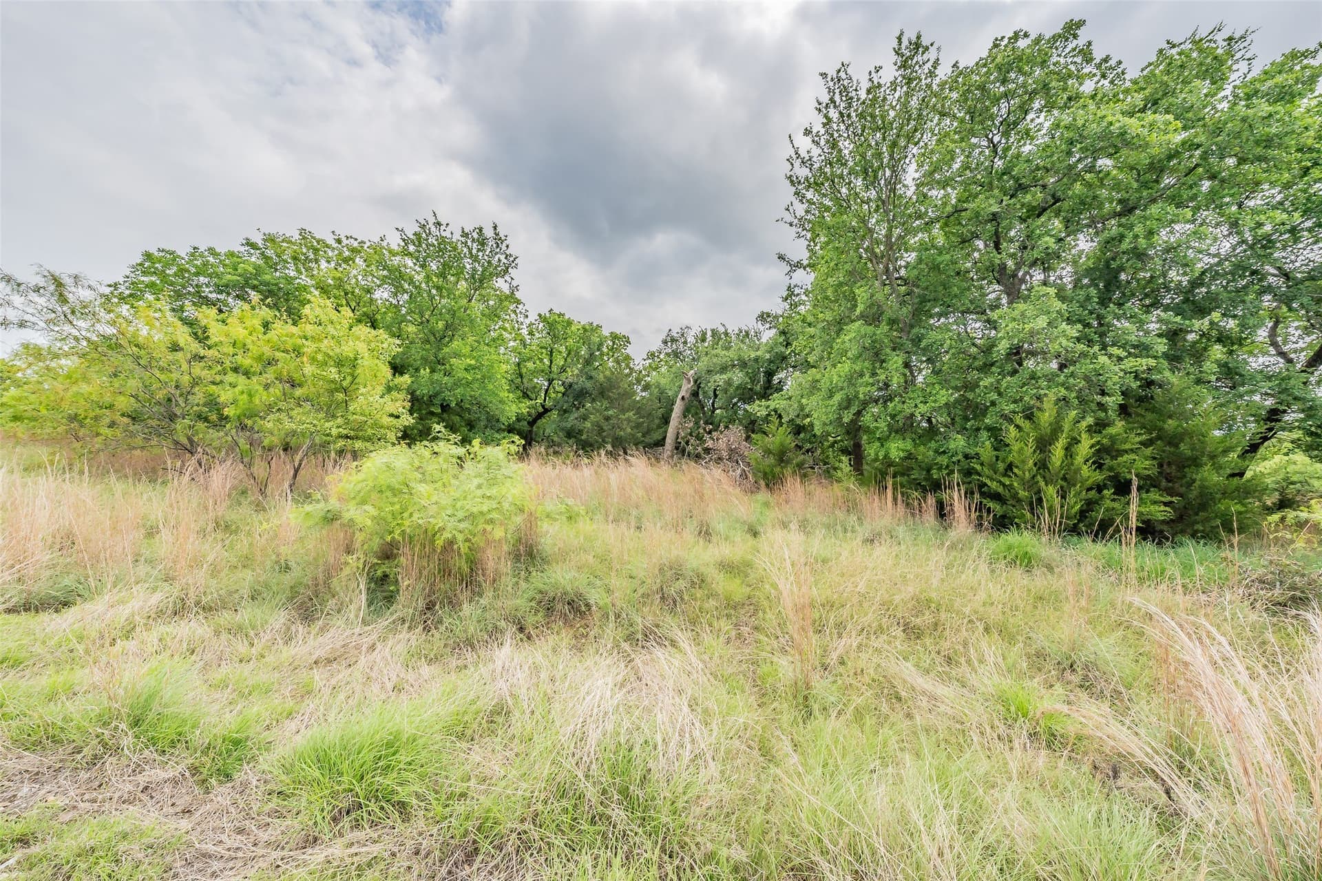 1.01 acres in Wise County - photo 4