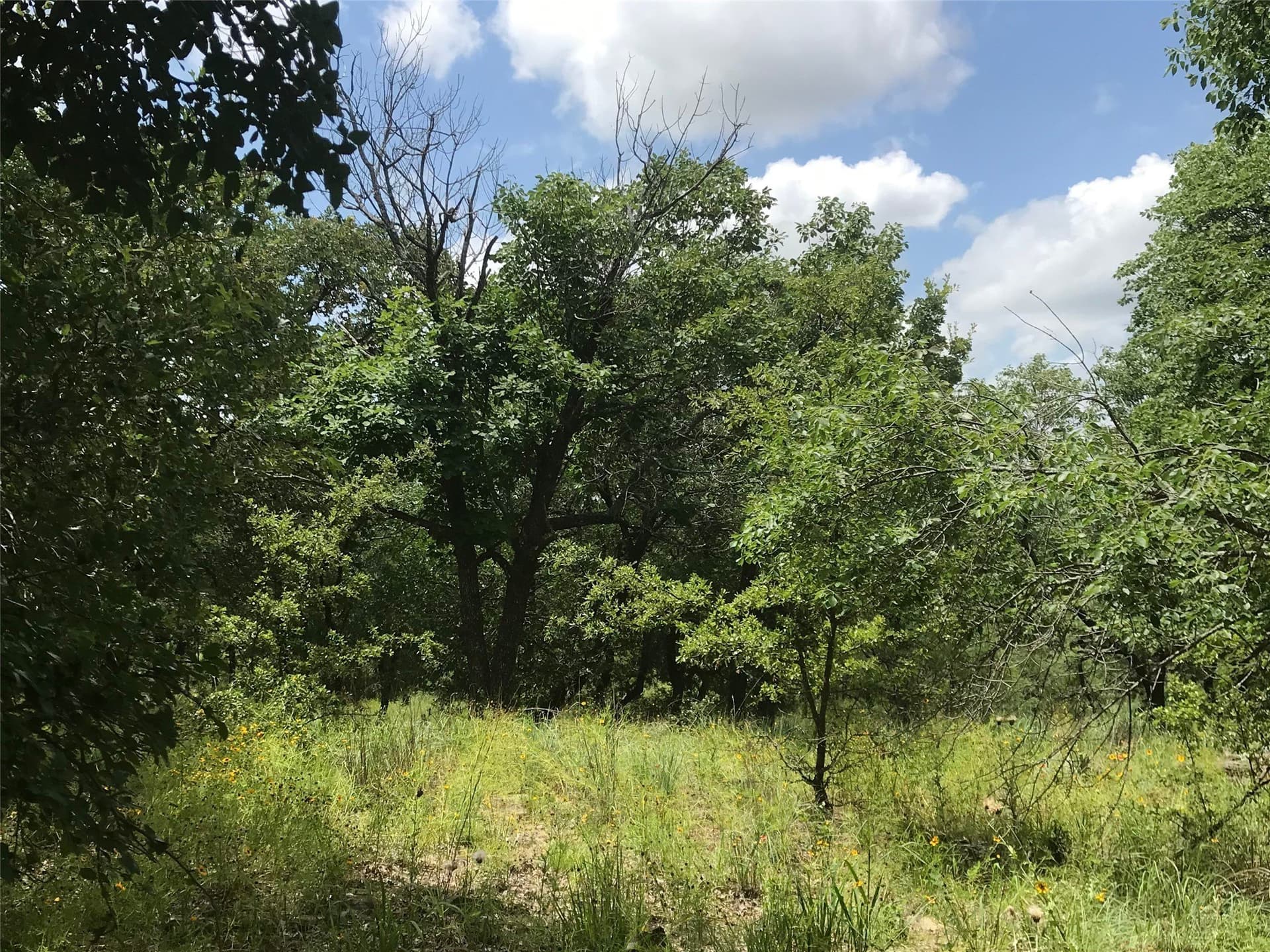 1.01 acres in Wise County - photo 2