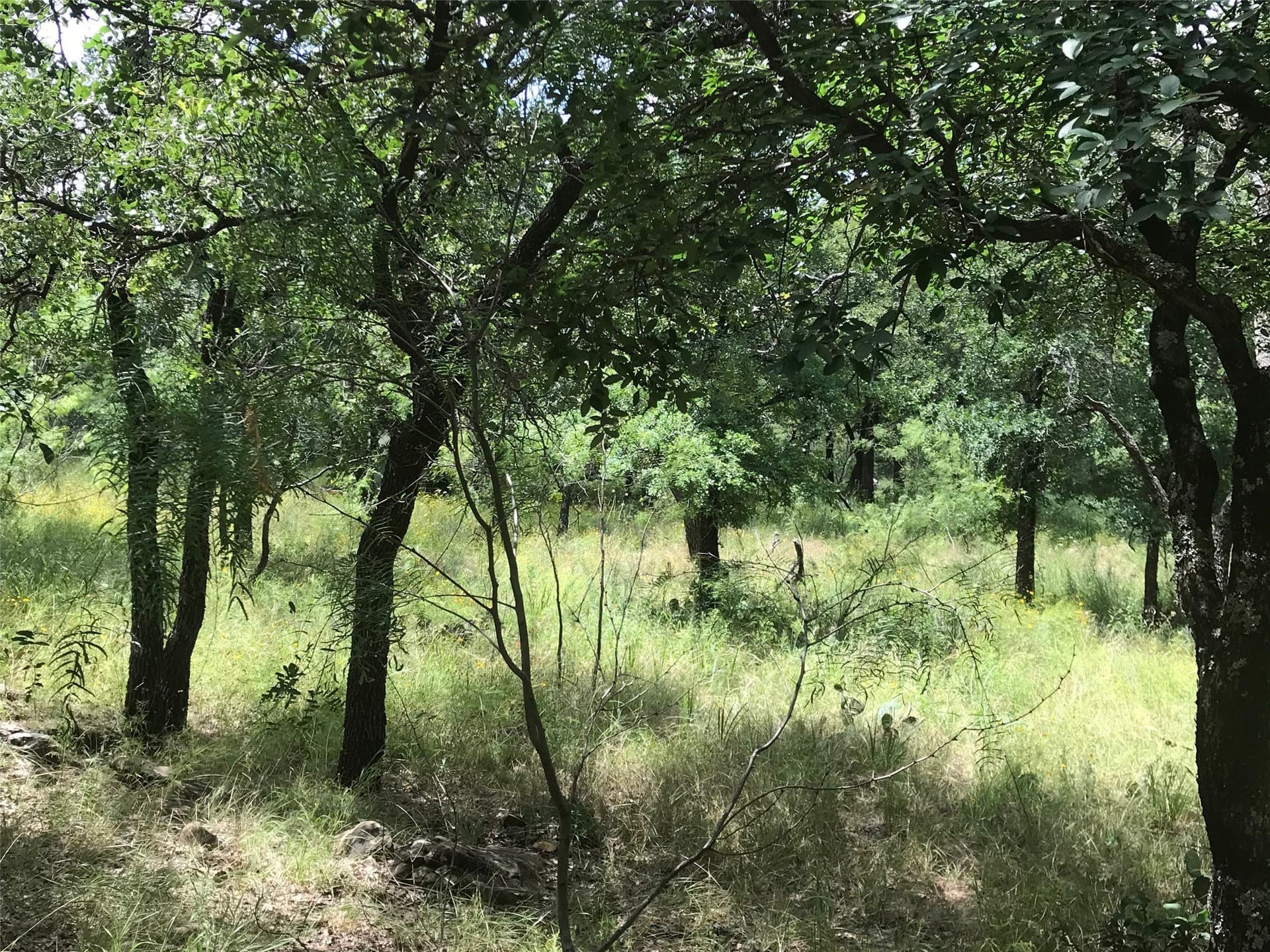 1.01 acres in Wise County - photo 9